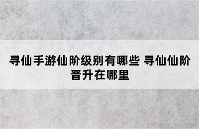 寻仙手游仙阶级别有哪些 寻仙仙阶晋升在哪里